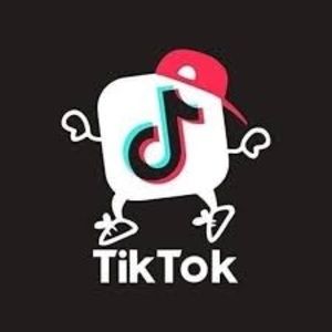 Meet your Posher, Tik